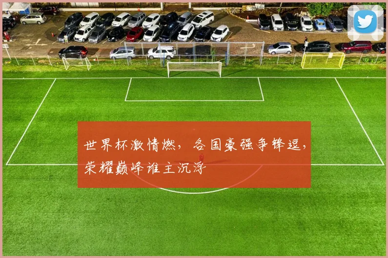 世界杯激情燃，各国豪强争锋逗，荣耀巅峰谁主沉浮
