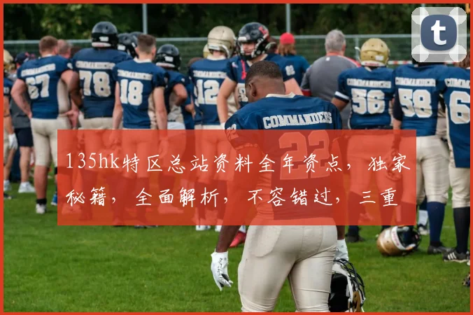 135hk特区总站资料全年资点，独家秘籍，全面解析，不容错过，三重惊喜