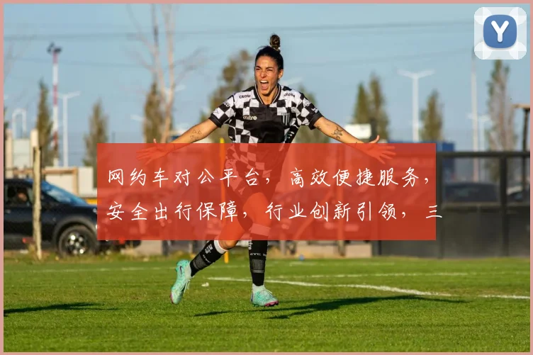 网约车对公平台，高效便捷服务，安全出行保障，行业创新引领，三重优势凸显。
