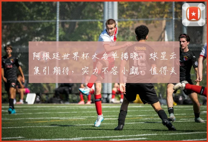 阿根廷世界杯大名单揭晓，球星云集引期待，实力不容小觑，值得关注